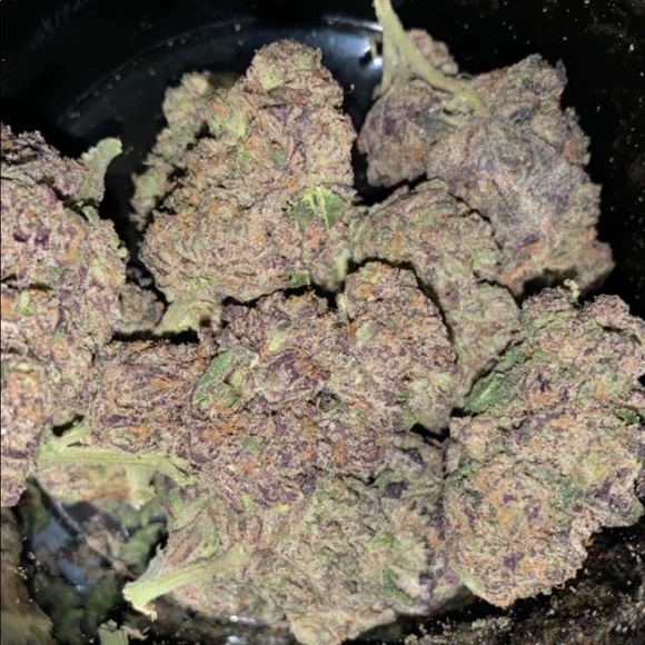 Meet your Posher, Pryce - Picture 1 of 1